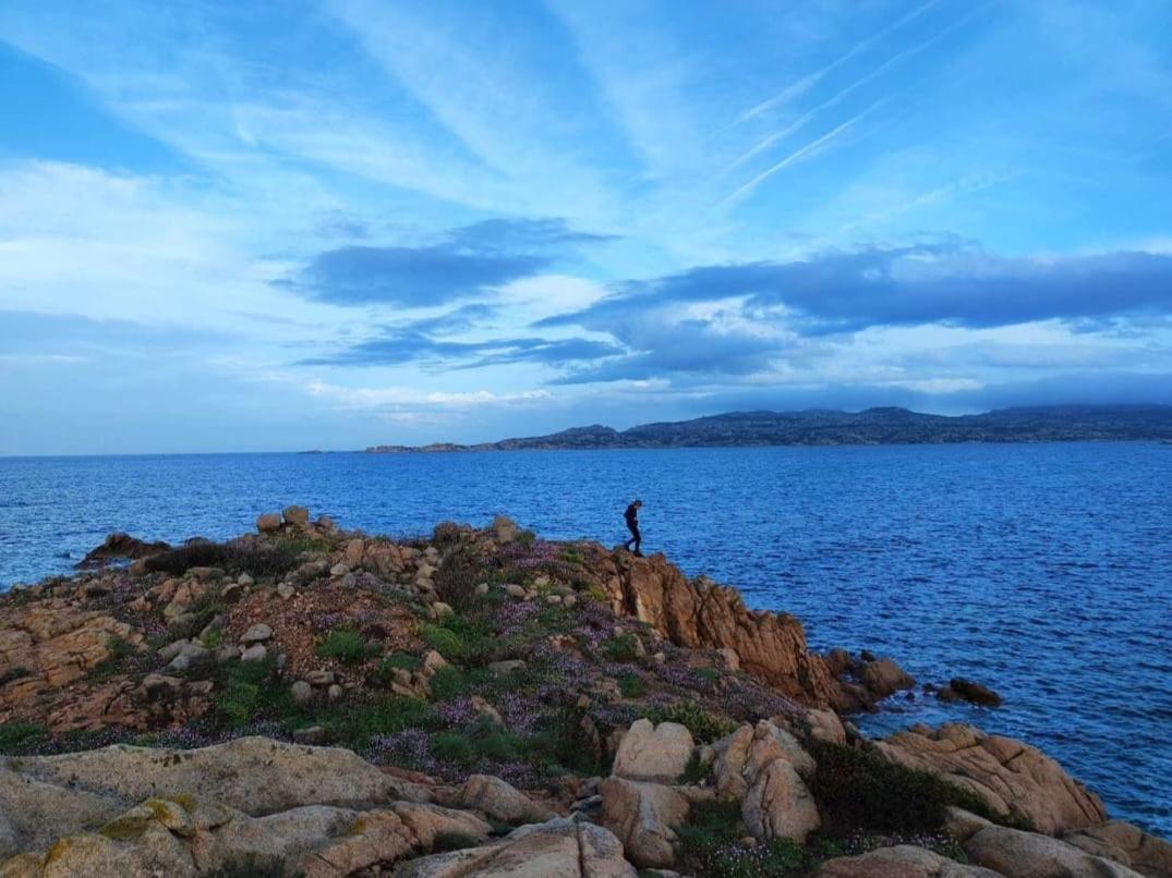 Willa Casa Mughetto R5055 Seafront, Private Sea Access, Swimming Pool La Maddalena  Zewnętrze zdjęcie